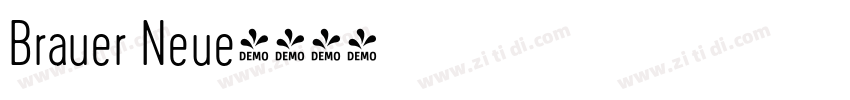 Brauer Neue字体转换